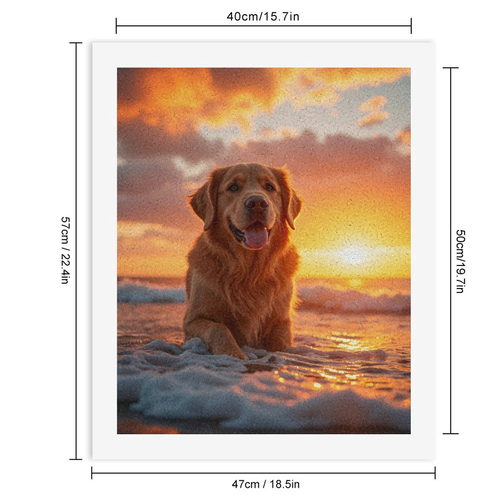 Paint By Numbers Kit for Adults Beginner - DIY Golden Retriever Beach Sunset Canvas Painting Kits for Adults, Frameless Paint By Number for Adults for Home Wall Decor 16x20 Inch