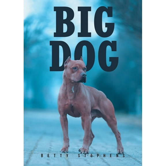Big Dog, (Paperback)