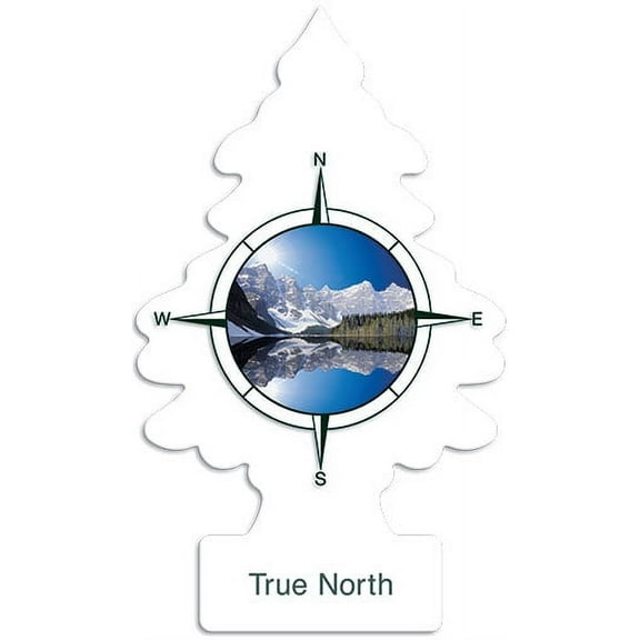 Little Trees Air Fresheners, True North (Pack of 6)