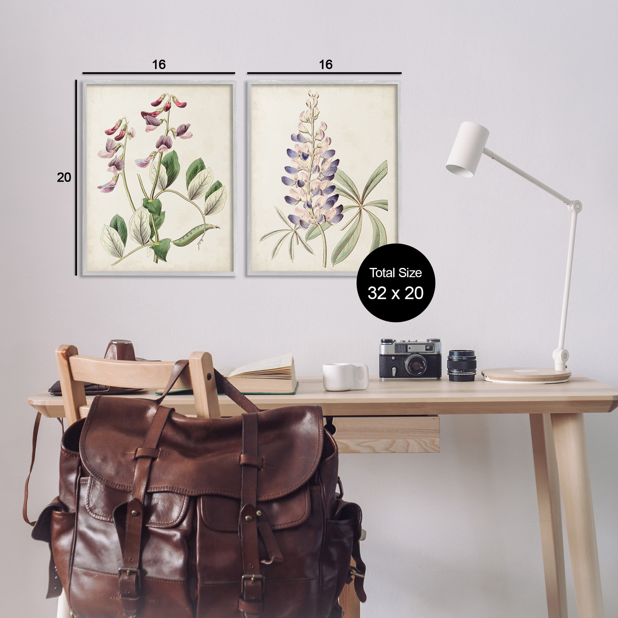 Stupell Industries Foxglove Latin Studies Botanical & Floral Painting Gray Framed Art Print Wall Art, 16 x 20, Set of 2