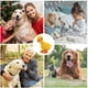 thumbnail image 5 of Juguete Masticable Para Mascotas, Juguete Para Perros, Juguete De Algodón Para Cachorros, Juguete De Limpieza Dental, Juguete Interactivo Para Entrenamiento De Mascotas Cateissary PT002136-00, 5 of 6