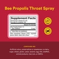 thumbnail image 2 of Natural Factors Bee Propolis Throat Spray, Helps Soothe a Sore Throat and Support Energy Levels, 1 Oz, 2 of 6