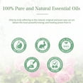 thumbnail image 5 of PHATOIL Rose Essential Oils 100% Pure Natural Perfect for Aromatherapy Diffusers, Humidifiers, Skin Care, Relaxation, Great for DIY Candle and Soap Making - 100ml/3.38 fl.Oz, 5 of 8