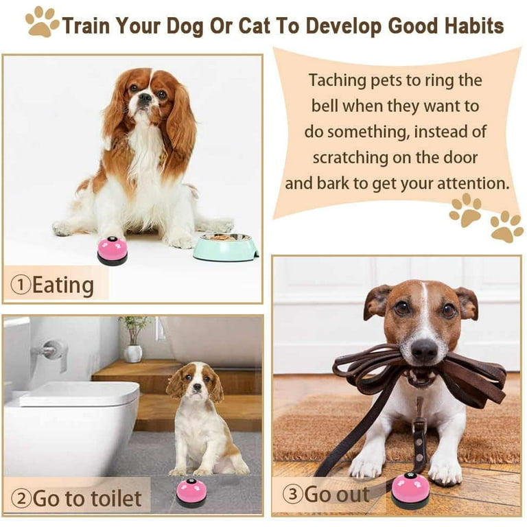 Most Effective Way To Potty Train A Puppy