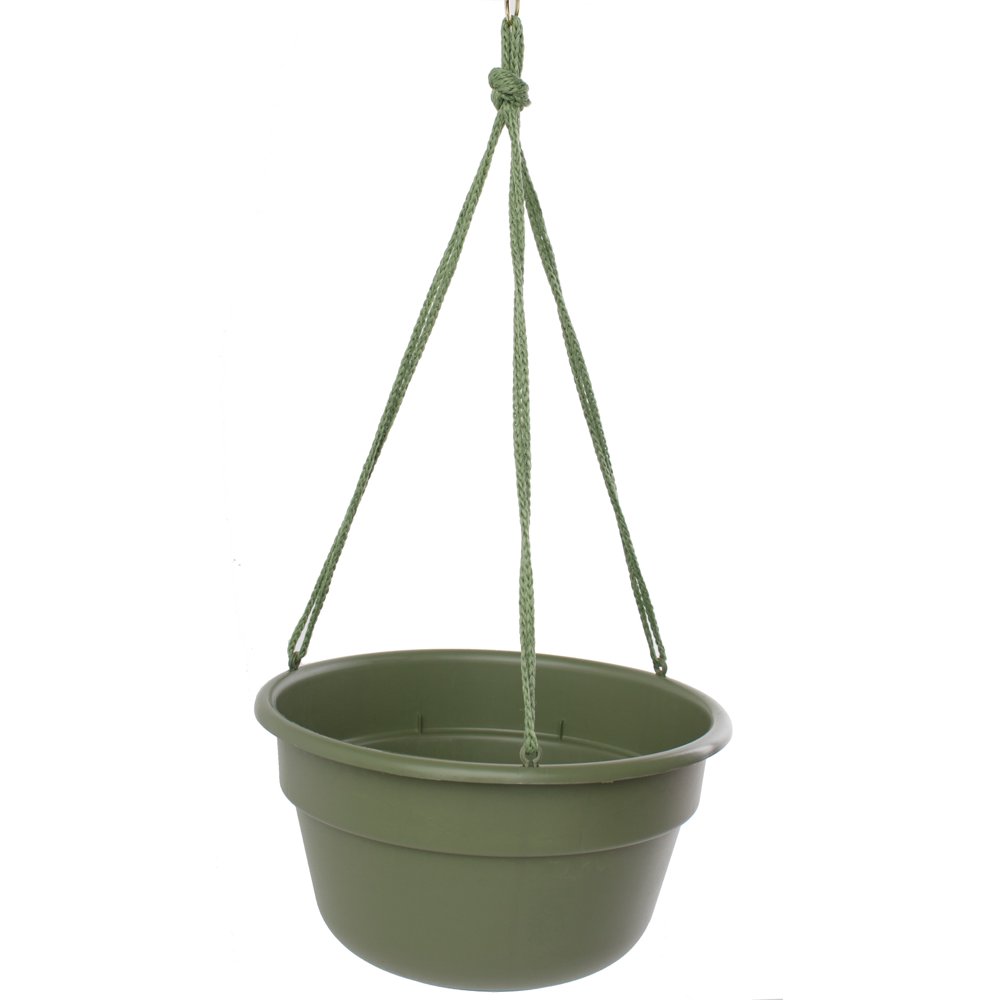 Bloem Dura Cotta Hanging Basket 10" Living Green