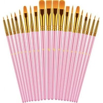 Nvzi-a Paint Brushes Set, 20 Pcs Paint Brushes for Acrylic Painting, Oil Watercolor Acrylic Paint Brush, Artist Paintbrushes for Body Face Rock Canvas, Kids Adult Drawing Arts Crafts Supplies, Blush