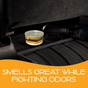 California Scents Spillproof Solid Air Freshener Can for Home or Auto, Hollywood Glow Scent