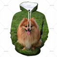 thumbnail image 3 of Sudadera con capucha de perro Pomerania con estampado 3D para hombre y mujer, sudadera con capucha con gráficos de animales, sudaderas de manga larga a la moda, ropa para niños, 3 of 5
