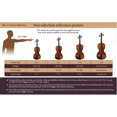 thumbnail image 6 of Yescom Beginner Violin 4/4 Full Size  Solid Wood Full Set with Carry Case Mute Bow Shoulder Rest for Student Adults Starter Beautiful Butterfly, 6 of 6