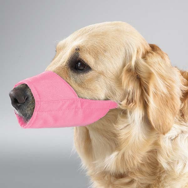 dog muzzle walmart