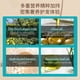 thumbnail image 5 of Fiudx Aceite Capilar Marroquí, Restaura El Cabello Seco y Encrespado, Sérum Nutritivo, Fortalece y Repara Las Puntas Abiertas, Hidrata y Da Brillo a Diario, Todo Tipo de Cabello, Tratamiento Natural, 5 of 6
