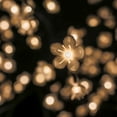 thumbnail image 4 of Floral Lights-Outdoor Cherry Blossom Tree 160WW LEDs(Hi-Line Exclusive), 4 of 4
