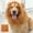 Yellow, variant on Lion Mane for Dog, Dog Lion Mane Costume, Realistic Black Lion Mane for Dog, Lion Wig for Dogs, Pet Clothes, Dog Wigs for Large Dogs, for Medium and Large Dog and Cat Dress Up