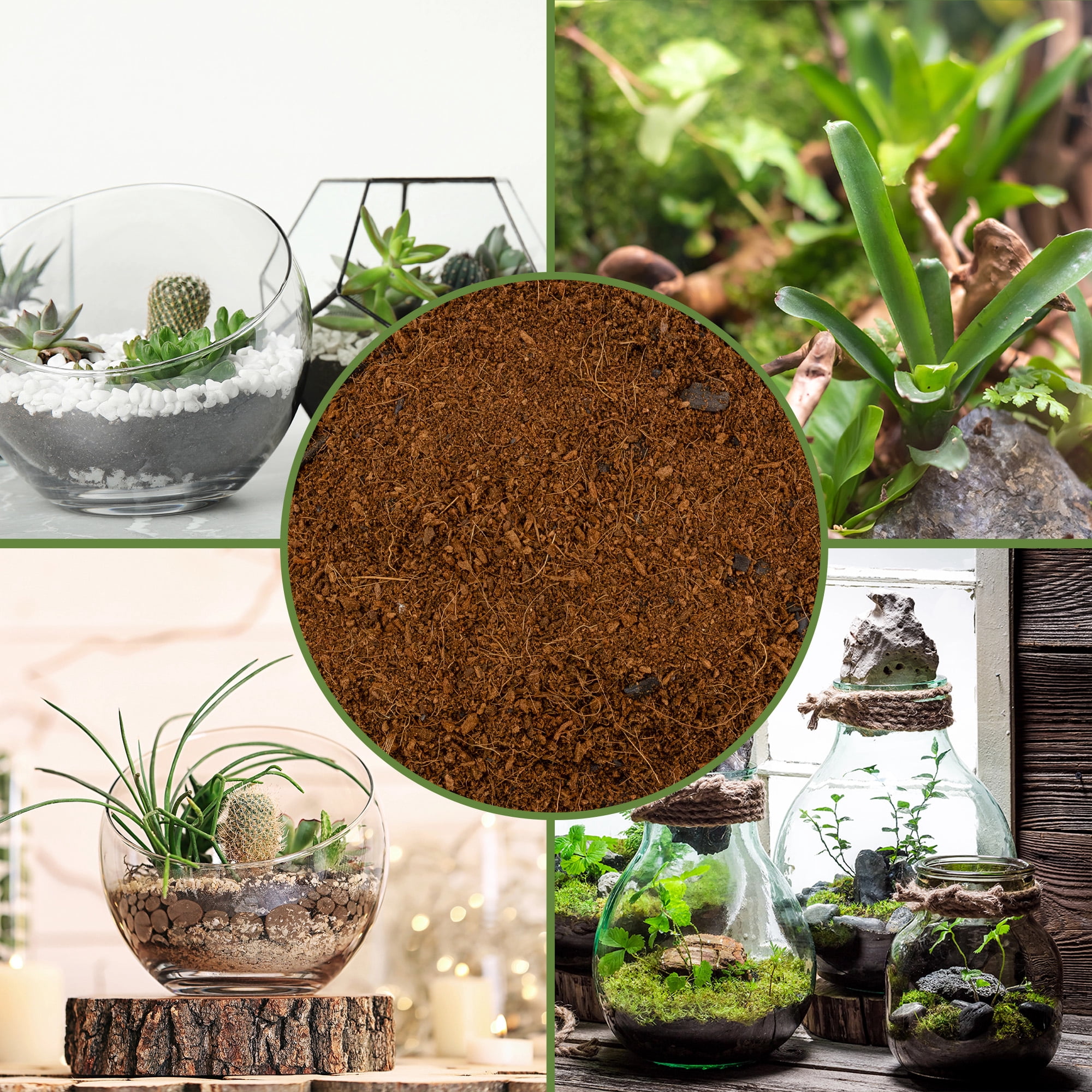 Terrarium Potting Soil Mix (8 Quarts), w/ Blended Filtering Charcoal Custom Made for Terrariums