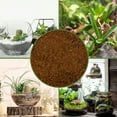 thumbnail image 6 of Terrarium Potting Soil Mix (8 Quarts), w/ Blended Filtering Charcoal Custom Made for Terrariums, 6 of 9