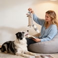 thumbnail image 5 of JIhuahe Animal-Shaped Plush Dog Toy with Squeaky Sound for Chewing and Play, Durable for Small Medium Large Dogs, Perfect for Puppies and Adult Dogs for Fun and Training,C,One Size, 5 of 6
