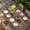Brown, variant on Old Wooden Board Table Cloths for 3 Foot Rectangle Tables, Country Farmhouse Wooden Planks Brown Patio Waterproof Elastic Fitted Tablecloths, Washable Rectangular Table Cover for Camping