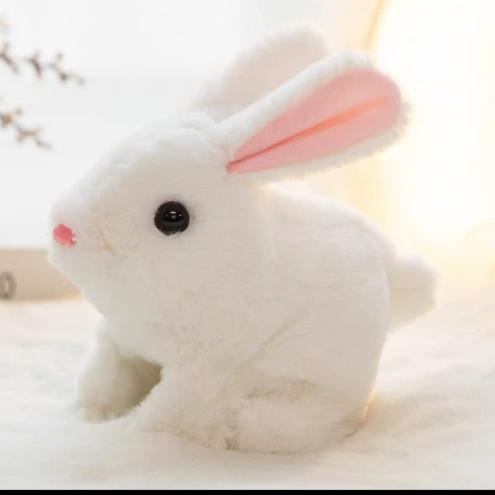 cute look at bunnies