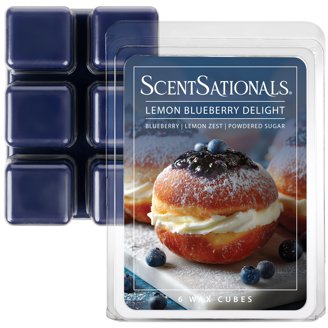 ScentSationals 2.5 oz Aquaholic Scented Wax Melts, 4-Pack