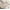 Beige, variant on Taicans Stone-Washed Bedspreads Ultra-Soft Microfiber Modern Style Quilted Flower Pattern Bedspread Quit,Summer Quilt Lightweight Microfiber Bedspread Queen Size 43"x59" Beige