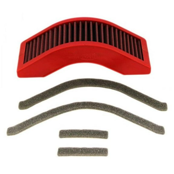 BMC FM376/19 Replacement Part Air Filter