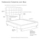 thumbnail image 4 of Colchon Queen Size Roll+Box Base Cama+ Cabecera Catania Gris, 4 of 8