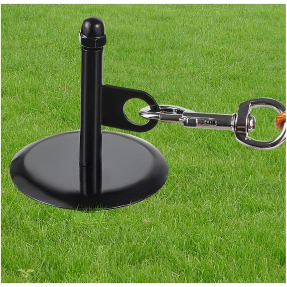 Dog Tie Out Stake, Rust-Proof Metal Ground Anchor for Small Dogs up to 60lbs, 360° Tangle-Free Rotation Stake for Outdoor Activities, Black