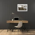 thumbnail image 3 of Paulson, Don 14x11 White Modern Wood Framed Museum Art Print Titled - South Georgia Island Elephant seals fighting, 3 of 4