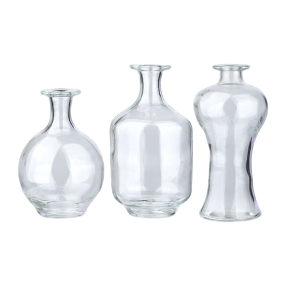 3 Pieces Flower Vases Glass Bud Vases Decorative Planter Modern Clear Glass for Home Office Living Room Decor