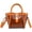 Orange, variant on Women Hobo Bag Transparent Tote Bag Casual Chic Shoulder Bag Crossbody Bag