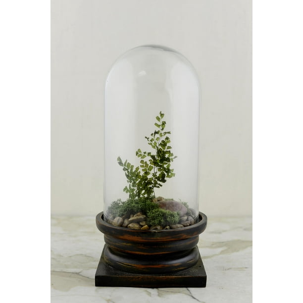 Glass Cloche with Base 12 inch