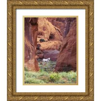 Rotenberg, Nancy 26x32 Gold Ornate Wood Framed with Double Matting Museum Art Print Titled - AZ, White Mts, Canyon de Chelly, White horse
