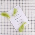 thumbnail image 3 of 450 Pieces Green Feathers for Craft Wedding Home Party Decorations, 3-5 Inches Green Craft Feathers, 3 of 7