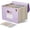 Lavender Purple, variant on Accordion File Organizer, 12 Pockets Wheat Straw Expanding File Folders, Monthly Bill Receipt Organizer, 100% BPA Free, Return to Nature, Healthy Living, Letter/A4 Size - Sky Blue