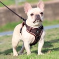 thumbnail image 4 of Blue Adjustable Cat Harness and Leash Set Escape Proof Vest Breathable Mesh Reflective Pet Harness with 59 in Nylon Leash for Cats and Small Dogs Walking Training 23x19 cm, 4 of 9