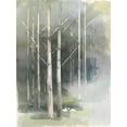 thumbnail image 2 of Tillmon, Avery 19x24 Black Ornate Wood Framed with Double Matting Museum Art Print Titled - Birch Grove II, 2 of 4