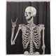thumbnail image 1 of Rock and Roll Skull Skeleton Bone Love Music Cortina de ducha 60 W x 72 H pulgadas poliéster impermeable, Sugar Candy Skull Day of Dead sobre fondo negro cortina de ducha para baño, 1 of 1