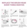 thumbnail image 2 of Electric Toothbrush, Replacement Brush Heads, Smart Timer 2-Minute Brushing Habit with High-Density Bristles, USB Rechargeable, Travel Friendly, 16000 Vibrations Per Minute, Efficient Cleaning, 2 of 3