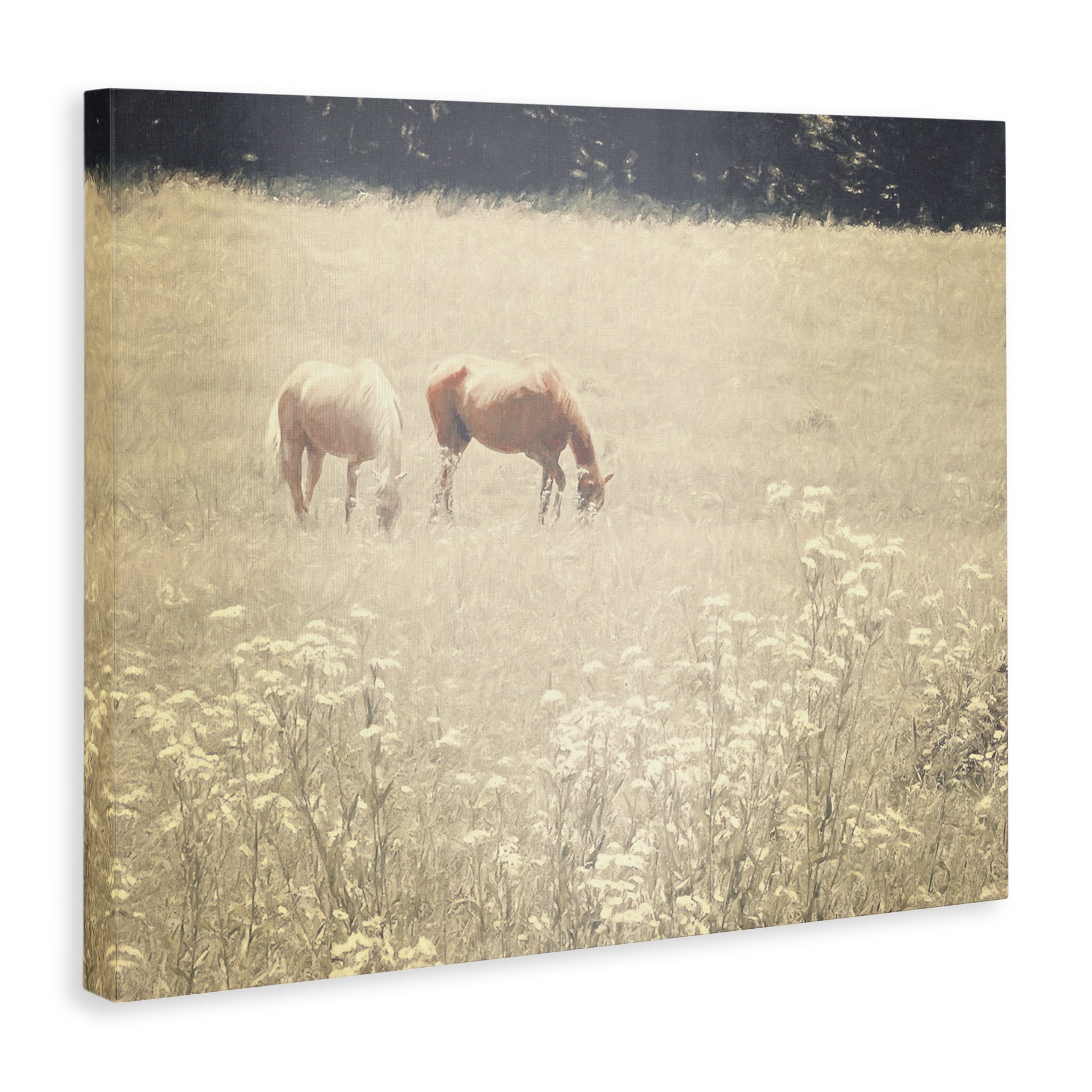 Stupell Industries Pair of Horses Grazing Landscape & Nature Photography Wrapped Canvas Art Print Wall Art, 20 x 16