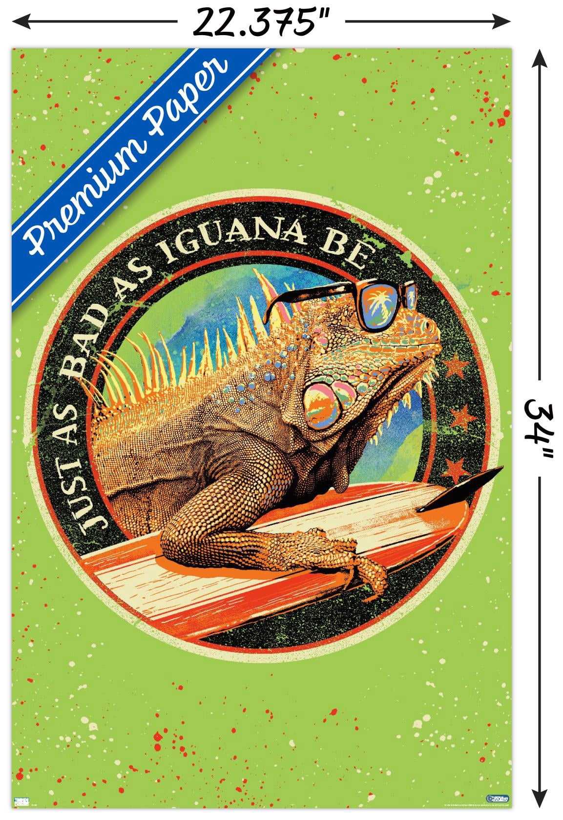 Jim Baldwin - Iguana Wall Poster, 22.375" x 34"