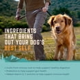 thumbnail image 6 of Natural Balance Synergy Chicken, Chicken Meal & Salmon Meal Dry Dog Food, 26 Pounds, Prebiotics, 6 of 12