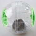 thumbnail image 2 of Methold Pelota de ejercicio, juguetes de animales, juguetes rodantes, accesorios para correr perforados de plástico Juguetes de animales pequeños verde, 2 of 6