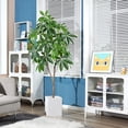 thumbnail image 4 of SOGUYI Artificial Plants Pachira Fake Money Tree 6FT Tall Artificial Plant for Home Decor Indoor, Faux Plastic Tree with 36 Adjustable Stems & 234 Leaves Perfect Housewarming Gift, 4 of 6