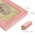 thumbnail image 2 of Seashell Ephemera V - Framed Print w/glass - Sunset Pink, 2 of 8