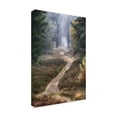 thumbnail image 4 of Trademark Fine Art Cora Niele Hiking Trail Canvas Wall Art - 30x47, 4 of 4