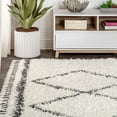 thumbnail image 5 of JONATHAN Y MERCER SHAG Mercer Shag Plush Tassel Moroccan Tribal Geometric Trellis Cream/Gray 4 ft. x 6 ft. Area Rug (MCR103B-4), 5 of 8