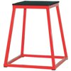 Champion Sports Welded Steel Plyo Box - 24" H