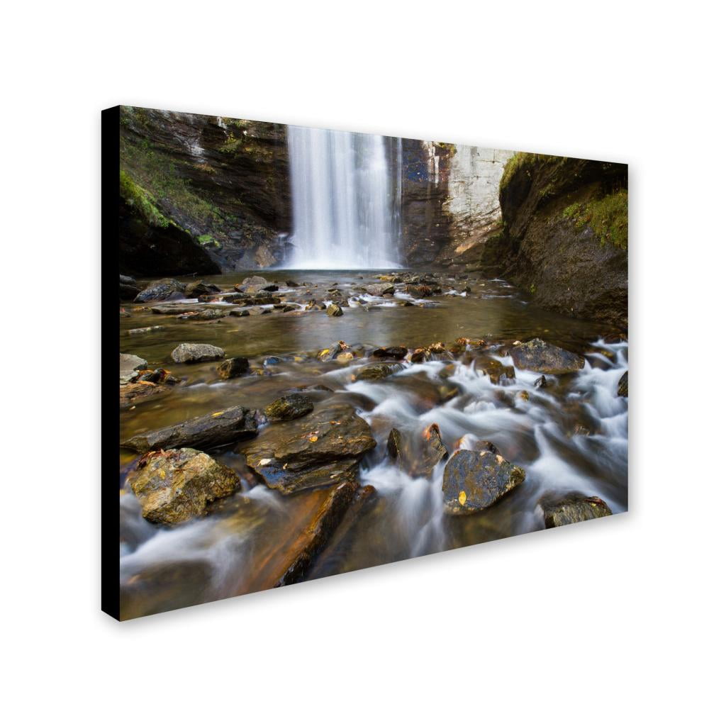 Trademark Fine Art "Looking Glass Falls" Canvas Art by Pierre Leclerc