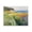 Wildflower Seascape Horizon, variant on Stupell Industries Traditional Rows Of Flowers Landscape Black Framed Giclee Art, 14 x 11, by Petals Prints Design