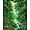Green, Pattern 1, variant on ODIKA 4'x6' Machine Washable Non-Slip Area Rug, Charming Fossil Inspired Style High Traffic Rug, Green, 8491